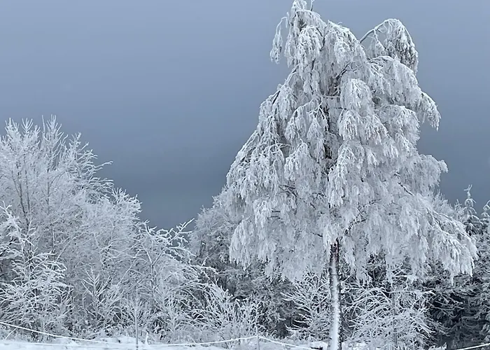 Appartement Haus Aktiv Garten2