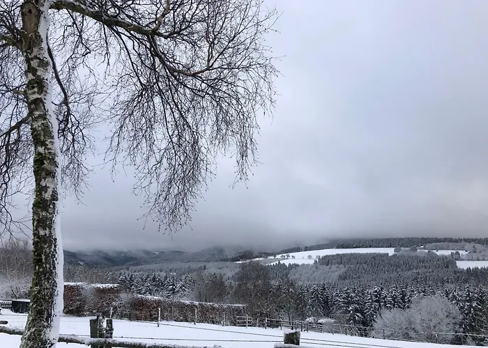 Haus Aktiv Garten2 Appartement Winterberg