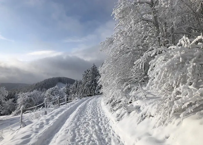 Haus Aktiv Garten2 * 温特贝格